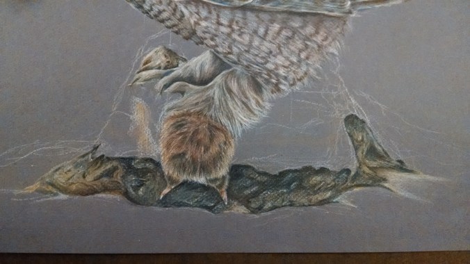 Rodent finished and starting the rock.