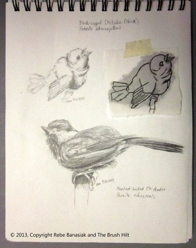 Chickadee sketches, Sketchbook 4 page 20, 2013, graphite.