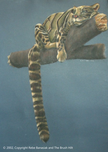 Clouded Leopard, 2002, pastel on paper.