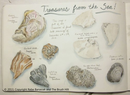 Treasures from the sea, Journal book 1 page 10, 2013, watercolor.