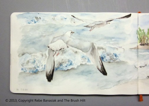 Seagulls, Journal book 2 page 24, 2013, watercolor.