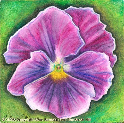 Pansy III, 2008, Inktense and watercolor on aquaboard.