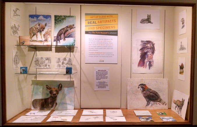 AAf member artwork in display case outside the Field Museum's Harris Education Center.